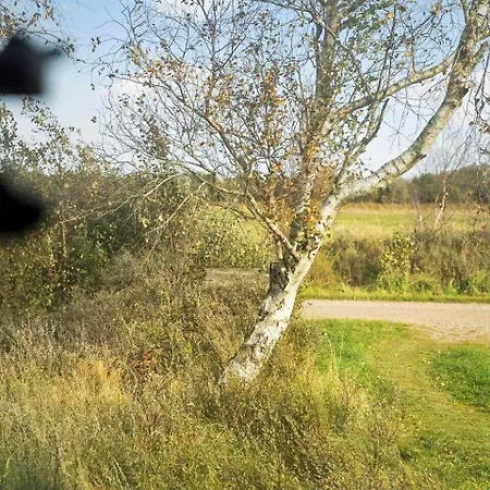 0009-romo-thadesvej-37 Toftum (Syddanmark)